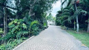 Goed onderhouden villa met tropische tuin - Julianadorp  Prive zwembad